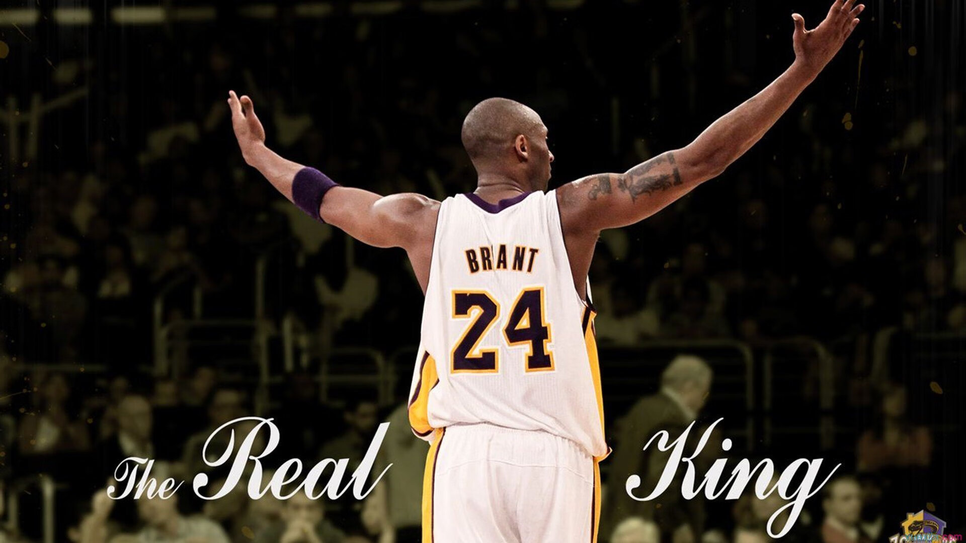 开云体育在线-《2025电竞行业新政策发布，引领行业健康发展》，未来20年电竞发展趋势